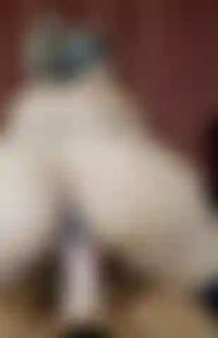 Gran culo a la cámara montando la polla gruesa de bo blake.