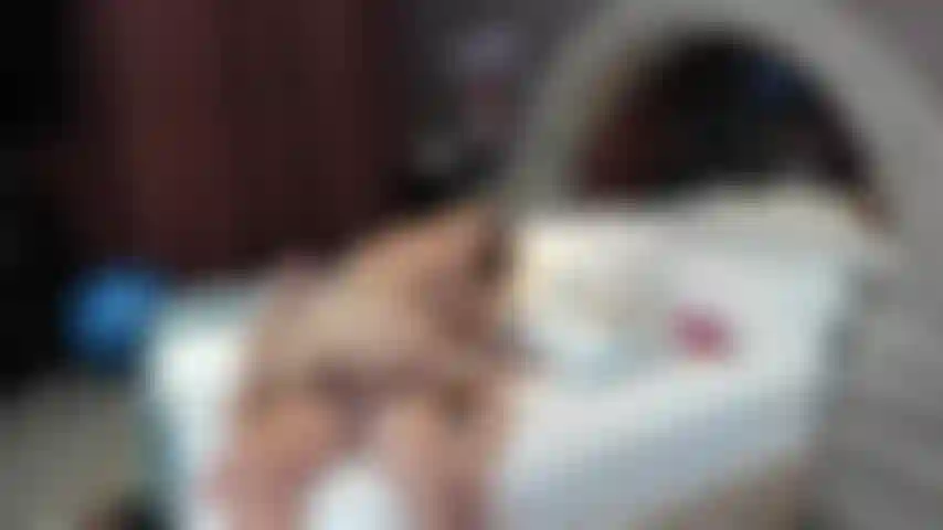 Sexo duro encima con bo blake!