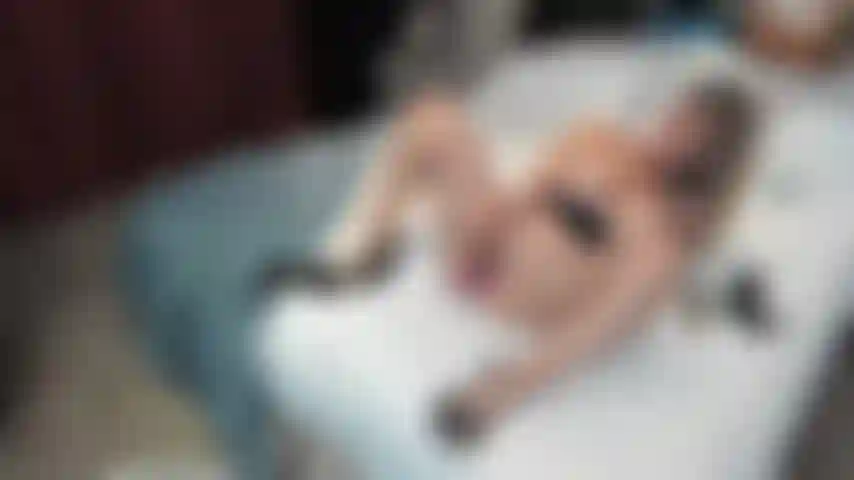 Doble penetracion con 2 juguetitos en solitario.