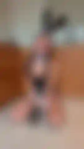 Bunny Costume - BBC, Butt Plug, Riding, Fucking, Cumming