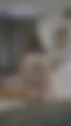 ¿Quieres ver cómo rebota en tu cara?