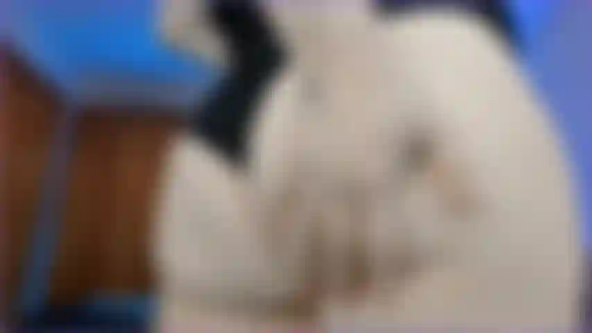 ¡Adora mi gran botín!