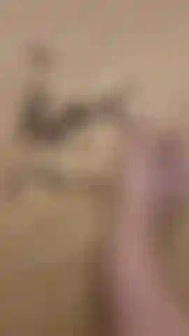 Foot food fun squashing blueberrys