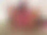(28) GoldieStar en este conjunto de fotos de presentación de diapositivas usa un sujetador rosa intenso y bragas sin entrepierna. Juego de coño.