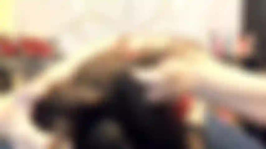 ( Gs.444) GoldieStar se presenta en show de oro. Roleplay (llamando a todos los presentes en la sala por su nombre...) 9 Minutos. Peluche rojo. Medias negras, tetas grandes, squirting, anal, dp, todos consoladores blancos (20/01/2022).