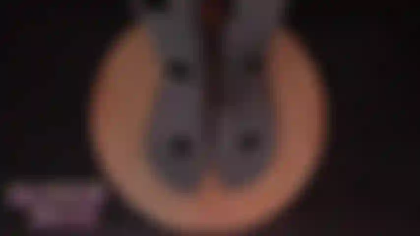 Adoración de pies asmr pedicure.