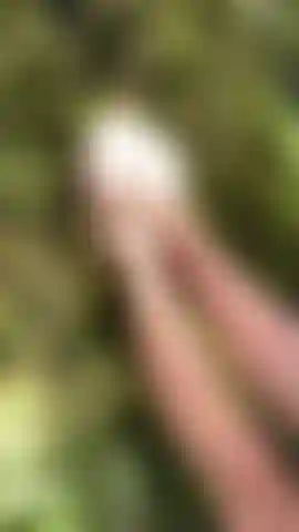 Mmmm do you see this trunk? So I want to play with my feet on your cock #Public