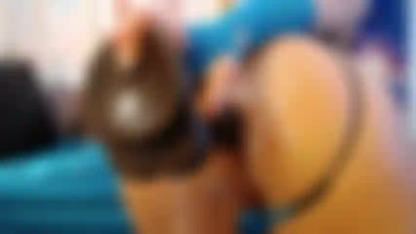 Vista de cerca anal de una polla monstruosa.