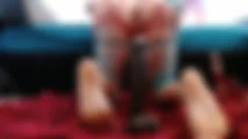 Obedient on Top of BBC