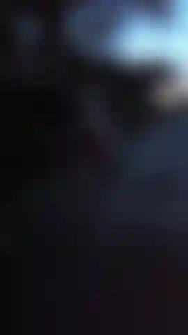 Camino desnuda por el bosque al aire libre.