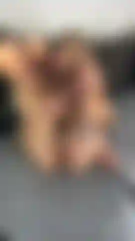 Sexmachine Pussy 6.0