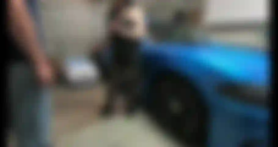 He estado muy cachonda durante este cierre por coronavirus, pero mi marido no deja que nadie venga. Así que entré a hurtadillas a mi vecino y me folló en el garaje mientras mi marido dormía.