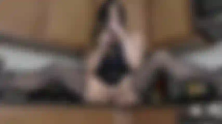 Juego de pepino - sm.