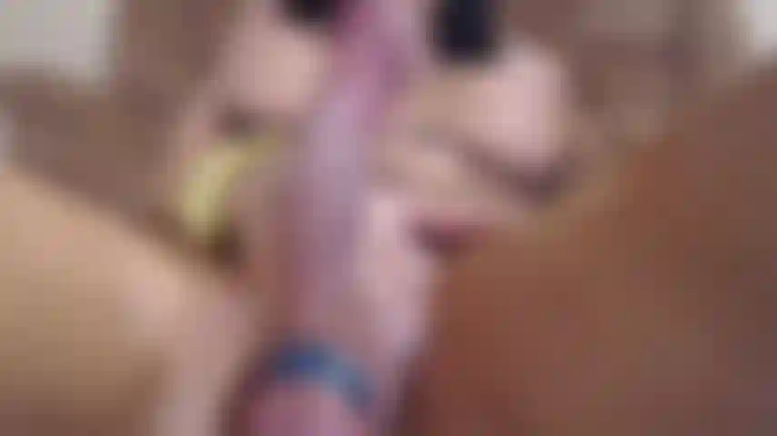 Mi polla, de cerca y en persona.