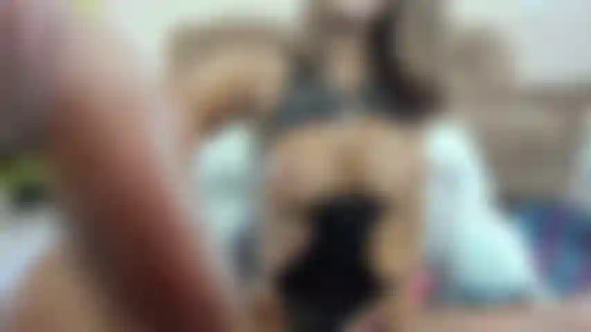 Mi culo tiene mucho colchón para que lo folles.