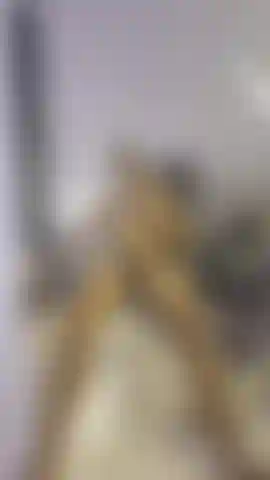 My dick in motion. Part 1 🍆