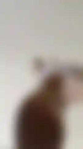 I love to tease! Squatting on your face, no panties, Pussy is out!