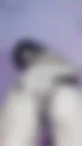 ¿Quieres ver mi ano más de cerca?
