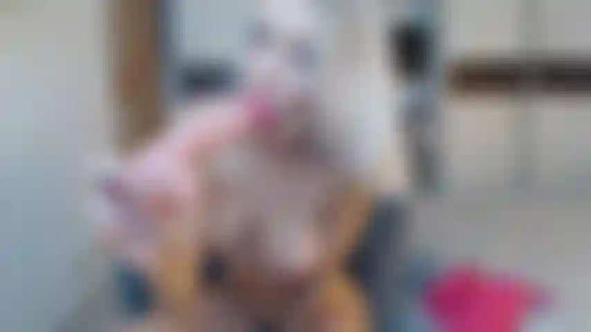 Mamada descuidada y paseo consolador.