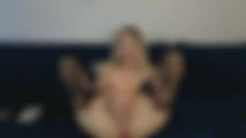 Follo coño con dildo y dedos.