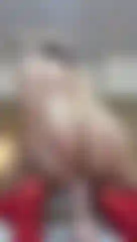 doggy style +  fuck pussy