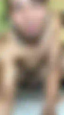 Que rico es tocar y venir.