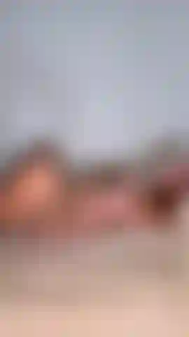 Solo juego con mi coño un poco mientras estoy acostada en la cama. Lo siguiente que sabes es que mi coño está en tu cara y estoy gimiendo.