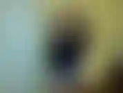 Mírate esclava de castidad. Chupando el semen de otro hombre desde las bragas y ni siquiera sabes de quién es el semen. Yo tampoco. Le di tu mamada mensual a un extraño en lugar de a ti. No vales nada.