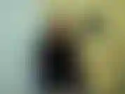 Pensaste que te ibas a follar a una chica? Eres asquerosa y patética. Nunca sometería a una mujer a tu vileza. Ur está siendo follada por un hombre con una gran polla. Hoy incluso te dejaré frotar tu clítoris como recompensa.