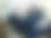 Adora mis botas perra.