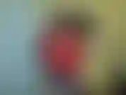 He estado engañando tanto últimamente que no tengo idea de a quién pertenece esta foto de polla. En realidad no es hacer trampa. Verás, soy hotwife. Me gusta follar con otras personas aunque estemos casados.