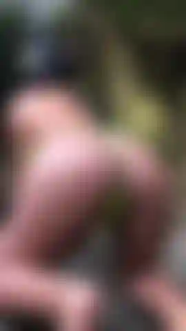 Look But Don't Touch