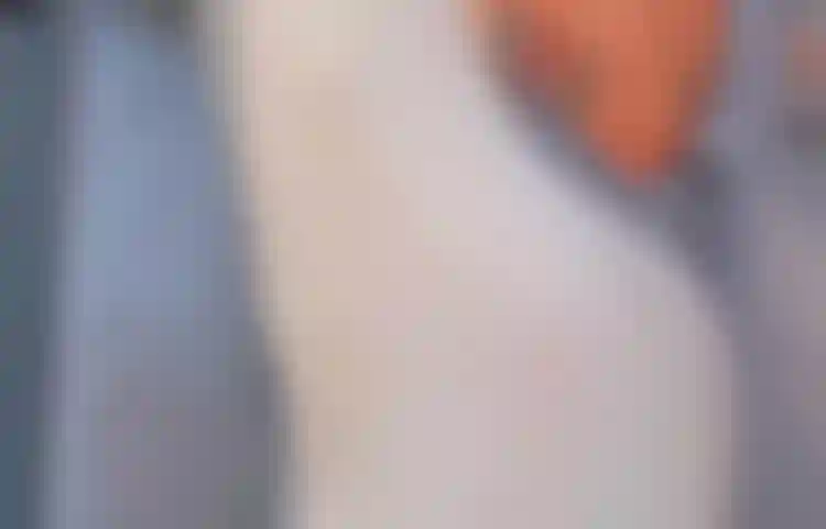 Date una ducha y frota mis pechos y mi coño. ¿Te gustaría participar en este largo baño conmigo?