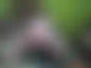 Trazo teaser en el área de juego reorganizada;).