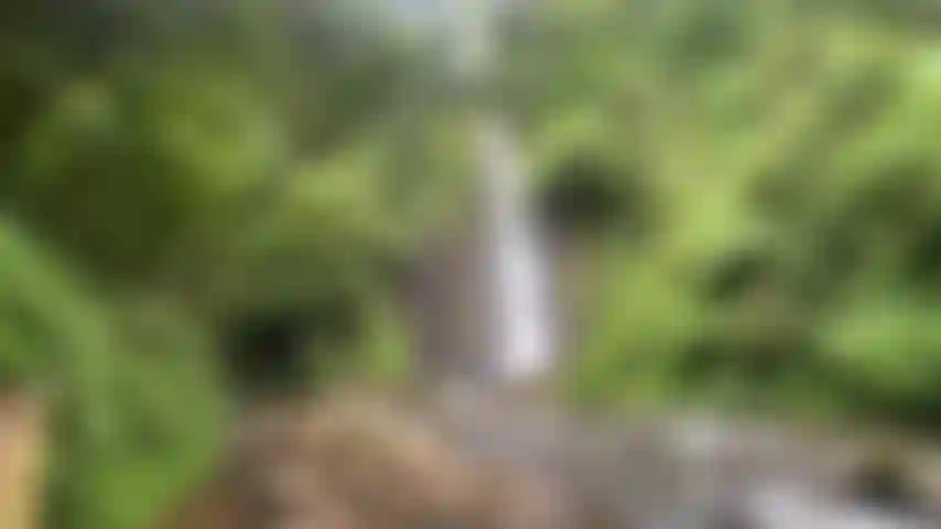 Juego de coño al aire libre en cascada y naturaleza.