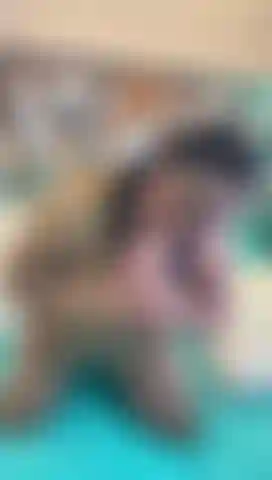 Sensual latina madura.