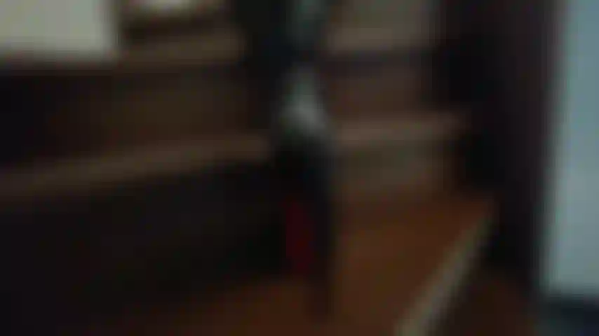 Estoy aquí para compartir mis vicios contigo y encontrar puro placer en dar vida a mi lado dominante. Te reto a pecar conmigo!