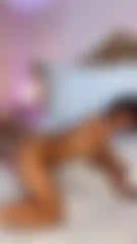 El perrito es mi favorito.