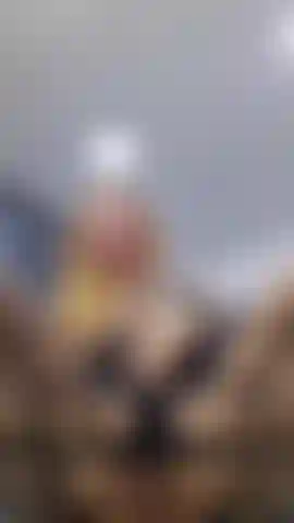 Mi vagina está un poco inquieta esta noche, cariño, ¿te gustaría jugar con ella un poco?