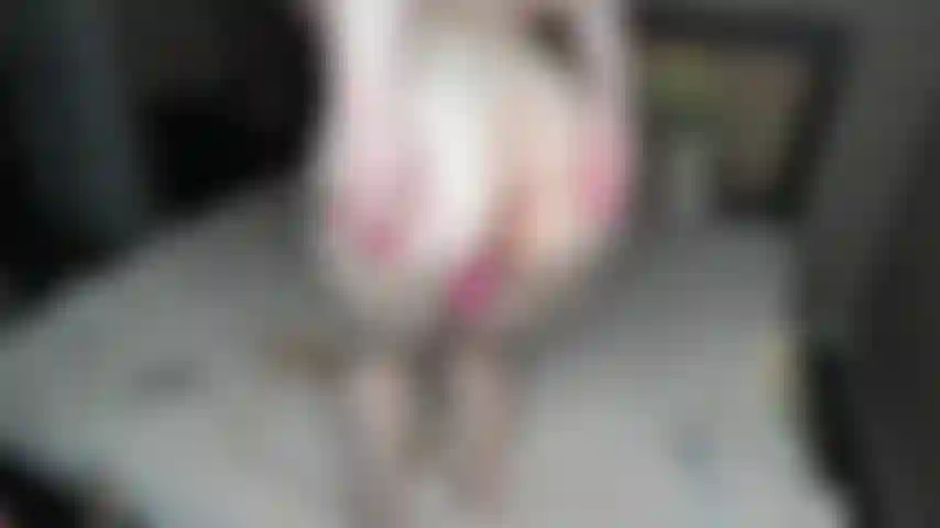 Gilipollas rosadas, nuevo corazón rosado, tapón anal, gilipollas a la cámara y posición del perrito, uñas largas y rosadas.