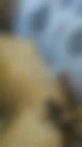 Cumshot Preview