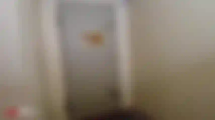 Encuadernada en cuero.