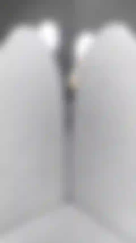 Máquina de extensión de piernas con medias grises no desnudas en el gimnasio.