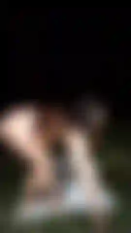 Sexy erotica en el bosque.