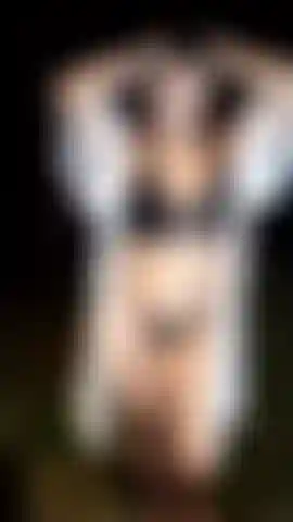 En el bosque tomo mis tetas.