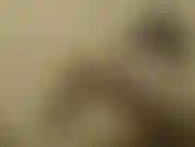 Maid luna se acaricia, se mete los dedos y se encula con su guante de goma y se corre dos veces! / Maid luna se acaricia, se mete los dedos y se folla con su guante de goma, ¡hasta tener 2 orgasmos!