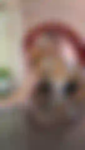 Do you want me to be your housewife?