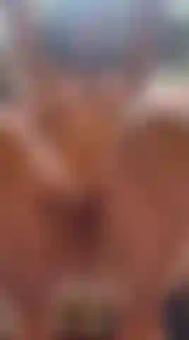 Im not wearing anything but I have a thousand ways to make you lose control.