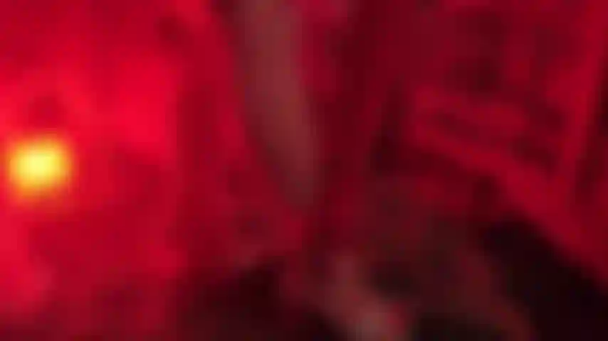 Little Red Riding Hood