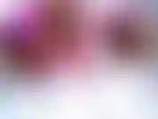 Los pensamientos más cálidos y los mejores deseos para unas vacaciones maravillosas y un feliz año nuevo. Que la paz, el amor y la prosperidad te acompañen siempre.